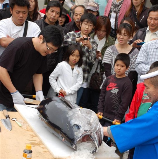 マグロ解体ショー！ウオッセ21