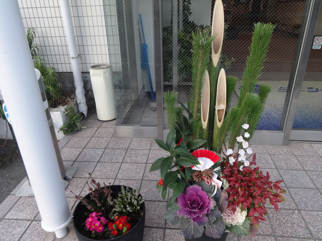 2016年も有難うございました(人''▽｀)☆