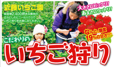いちご狩りの季節