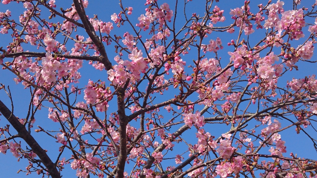 2/9(木)限定！！～デイユース得々情報～