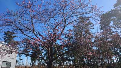 *～おもてなしＷＥＥＫ～*