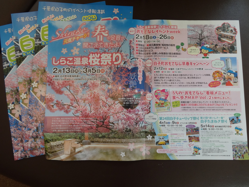 白子なう早春号*:.:*ﾟﾟ*: 2017