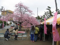 明日からおもてなしイベントｗｅｅｋ