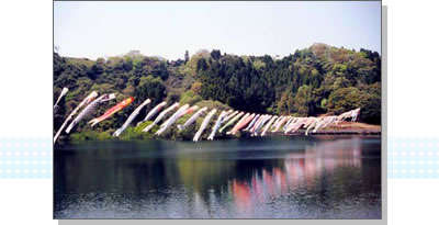 鯉のぼりまつり～小中池公園