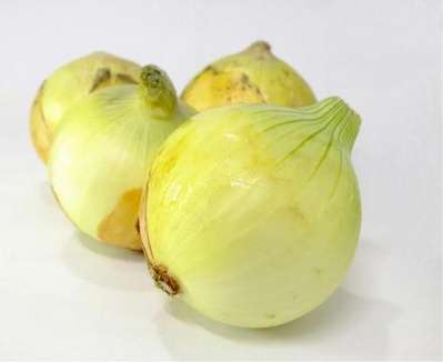 白子たまねぎ♪