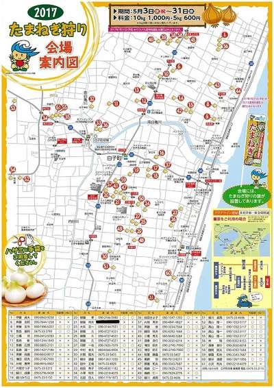 たまねぎ狩り体験☆　5月末まで開催中！！