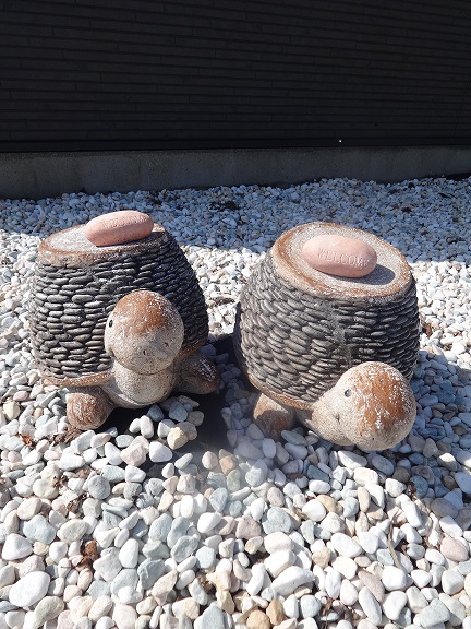 お出迎えカメさん♪