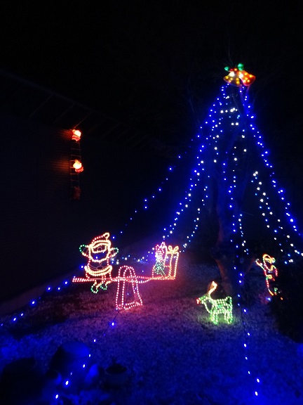 イルミネーションしてみました(*^^*)