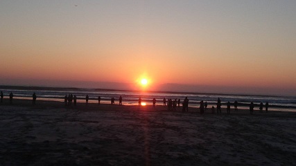 2018年、本年も宜しくお願い致します