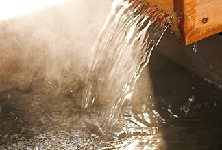 日帰り入浴、ご利用いただけます★