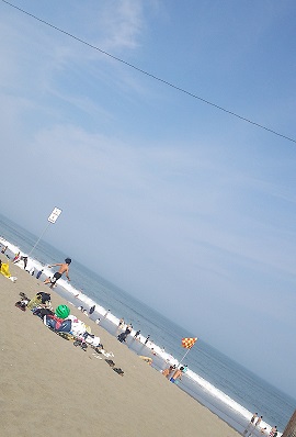 ８月がスタートしました！