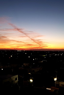 11月がスタートしました