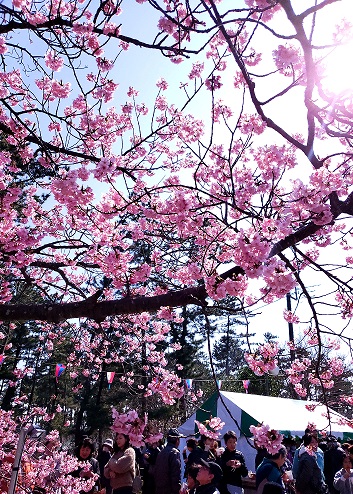 3/2 ＆ 3/3　本日も開催中☆彡