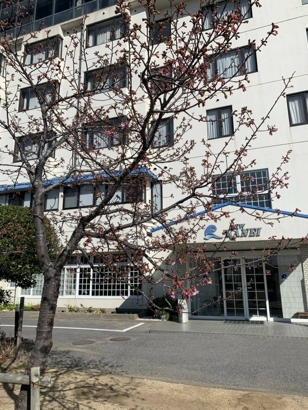 春はもうすぐ！