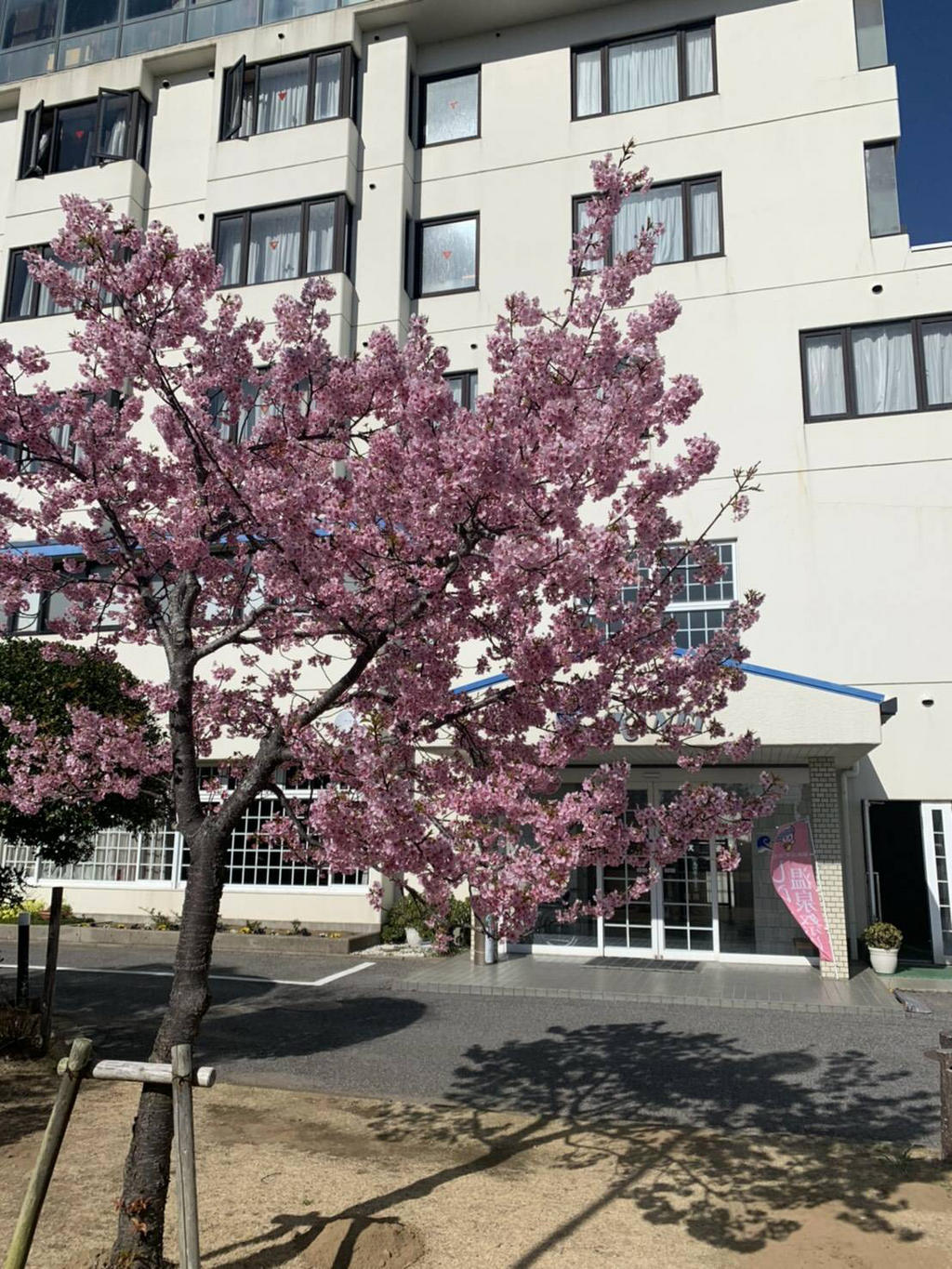 白子町ふっこう割お一人様３０００円割引！！