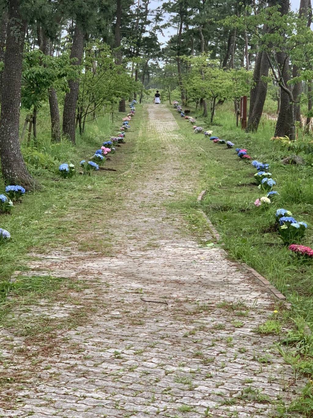 ジブリ風に！？