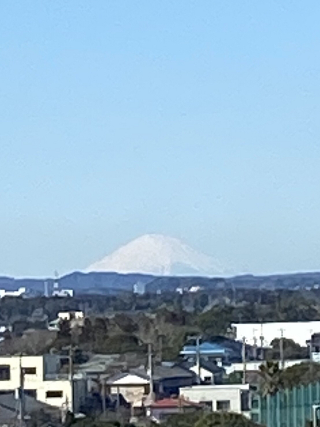 富士山が見えました！