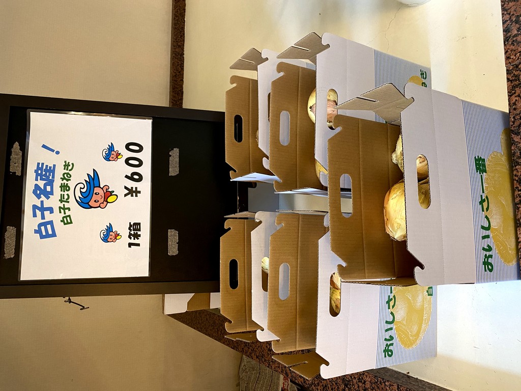 今が旬。白子たまねぎ