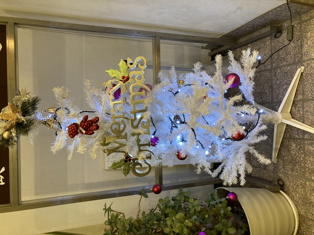 クリスマスツリー