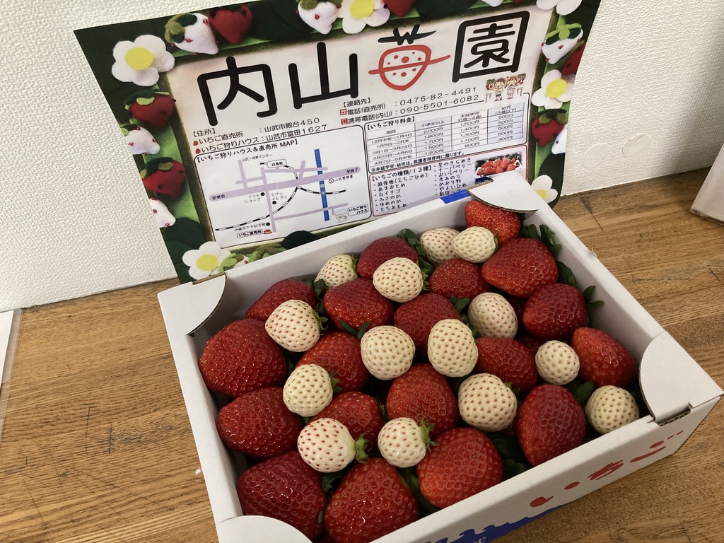 内山いちご園