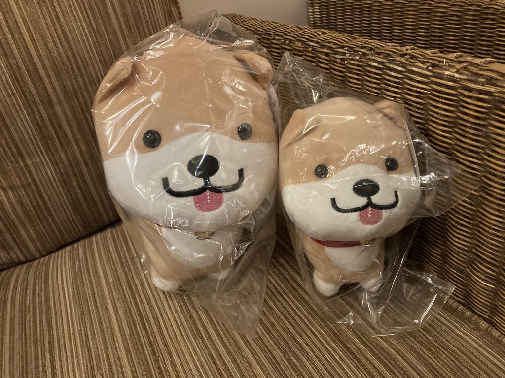 ～ぬいぐるみ登場～